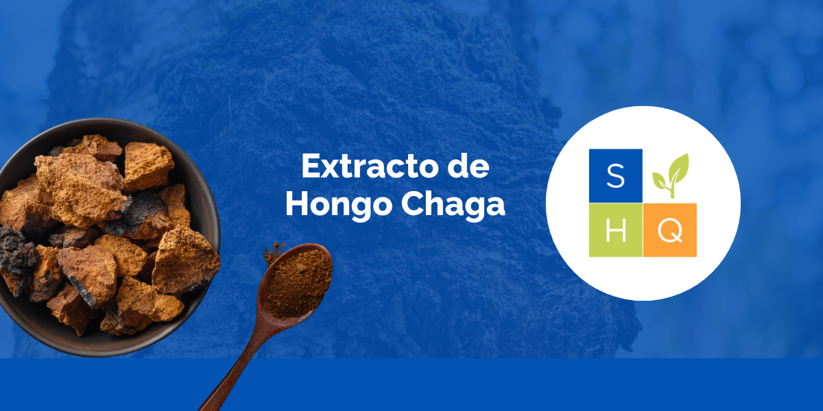 HongoChaga